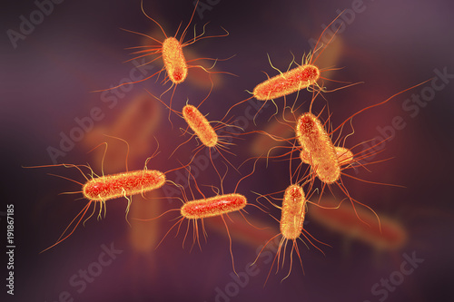 Escherichia coli bacterium, E.coli, gram-negative rod-shaped bacteria, part of intestinal normal flora and causative agent of diarrhea and inflammations of different location, 3D illustration photo