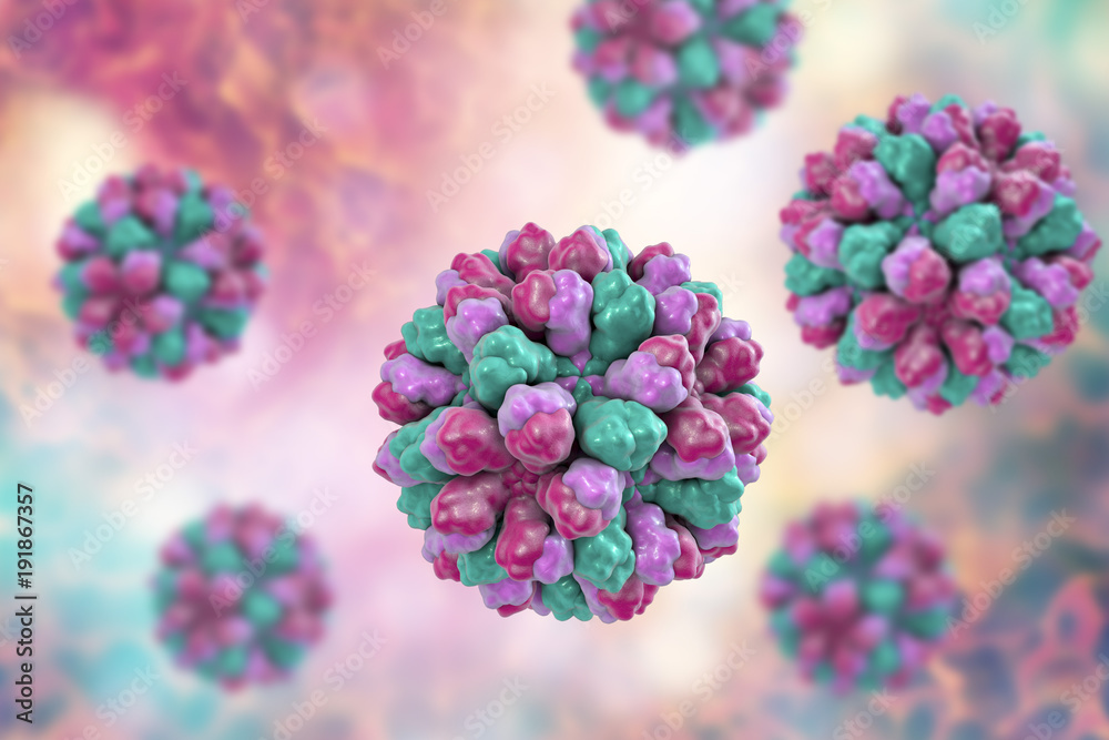 Norovirus, Norwalk virus, also called winter vomiting bug, RNA virus