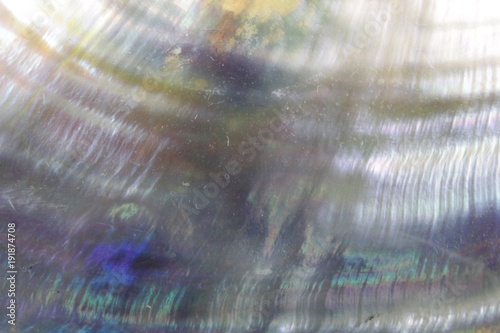 Muschel - Perlmutt - Hintergrund