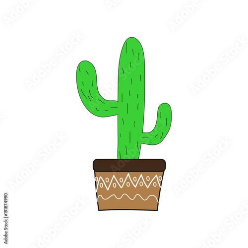 Cute cactus in a flowerpot on a white background