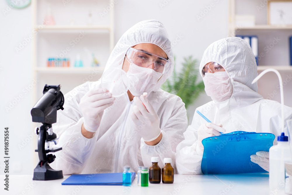 Two chemists working in the lab Two chemists working in the lab
