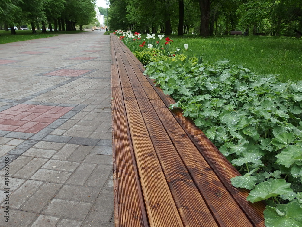 Obraz premium Tartu park
