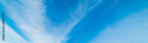 Seagull flying in a white and blue sky