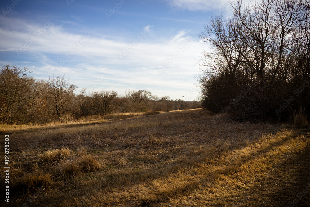 Field with dry grass and shadows from trees on a sunny February evening Field with dry grass and shadows from trees on a sunny February evening