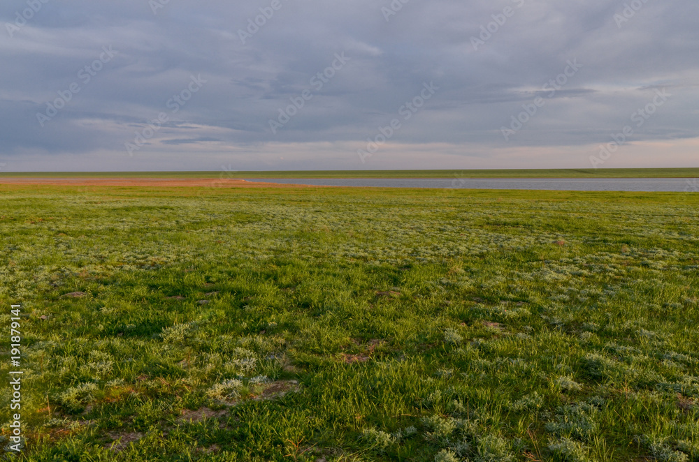 colorful spring steppe near salt lake at sunset Manych-Gudilo, Kalmykia