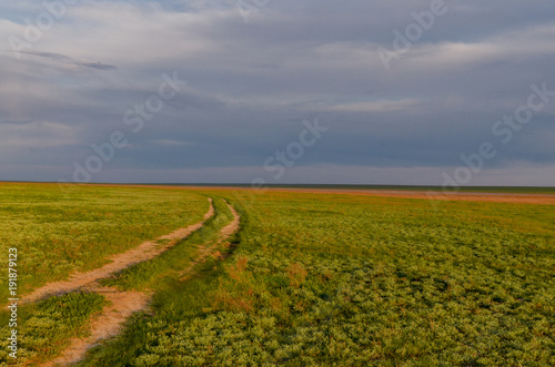 dirt country road in spring steppe at sunset Manych-Gudilo, Kalmykia