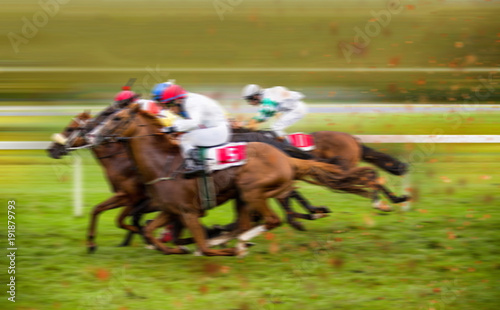 Race horses with jockeys on the home straight © Lukas Gojda