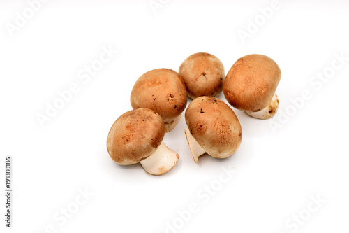 Brown Mushrooms on a White Background