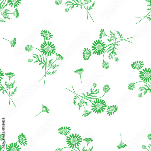 Seamless Vector Pattern with Chamomile Flower Bouquets Isolated on White Background  for Textile Design, Wallpaper or Web