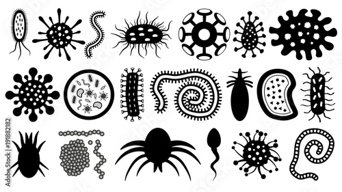 Microbe, parasite, bacterium, worm, virus, sperm, vector silhouette set. Microorganisms under the microscope. photo