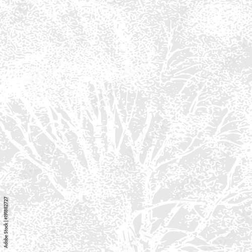 Tree texture background #8