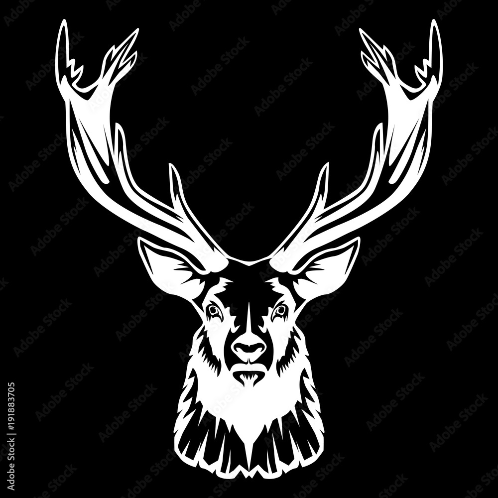 Deer head isolated on black 2 Deer head isolated on black 2