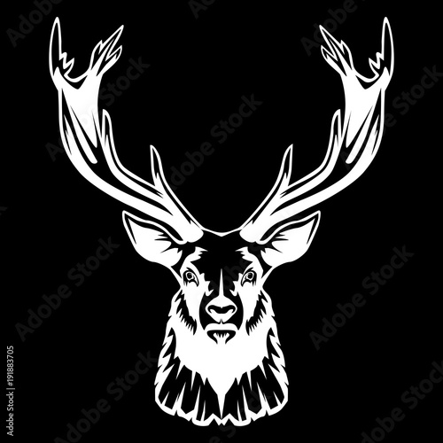 Deer head isolated on black 2