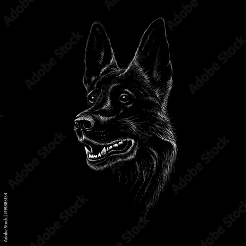 The Vector logo dog for T-shirt design or outwear.  Hunting tattoo dog  style background.