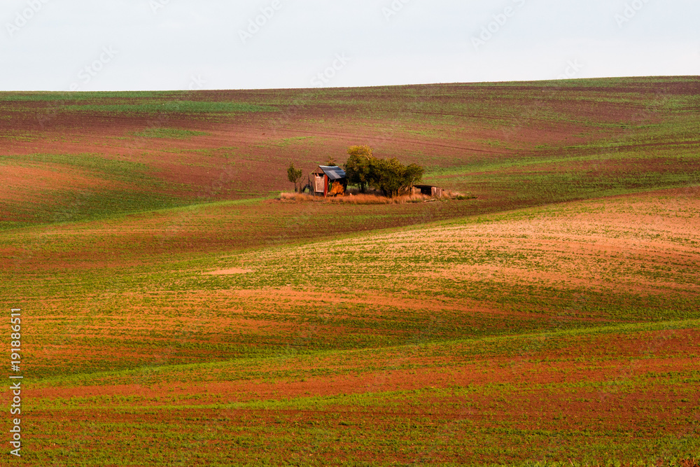 Bohemian fields