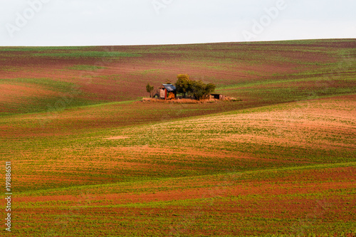Obraz na płótnie Bohemian fields w salonie