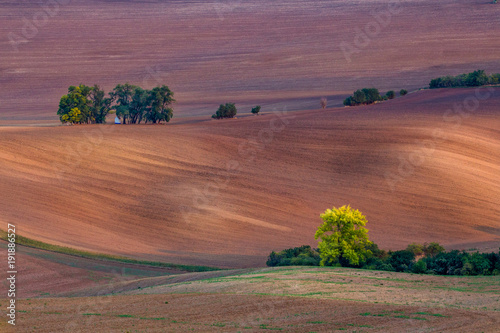 Obraz na płótnie Bohemian curvy fields w salonie