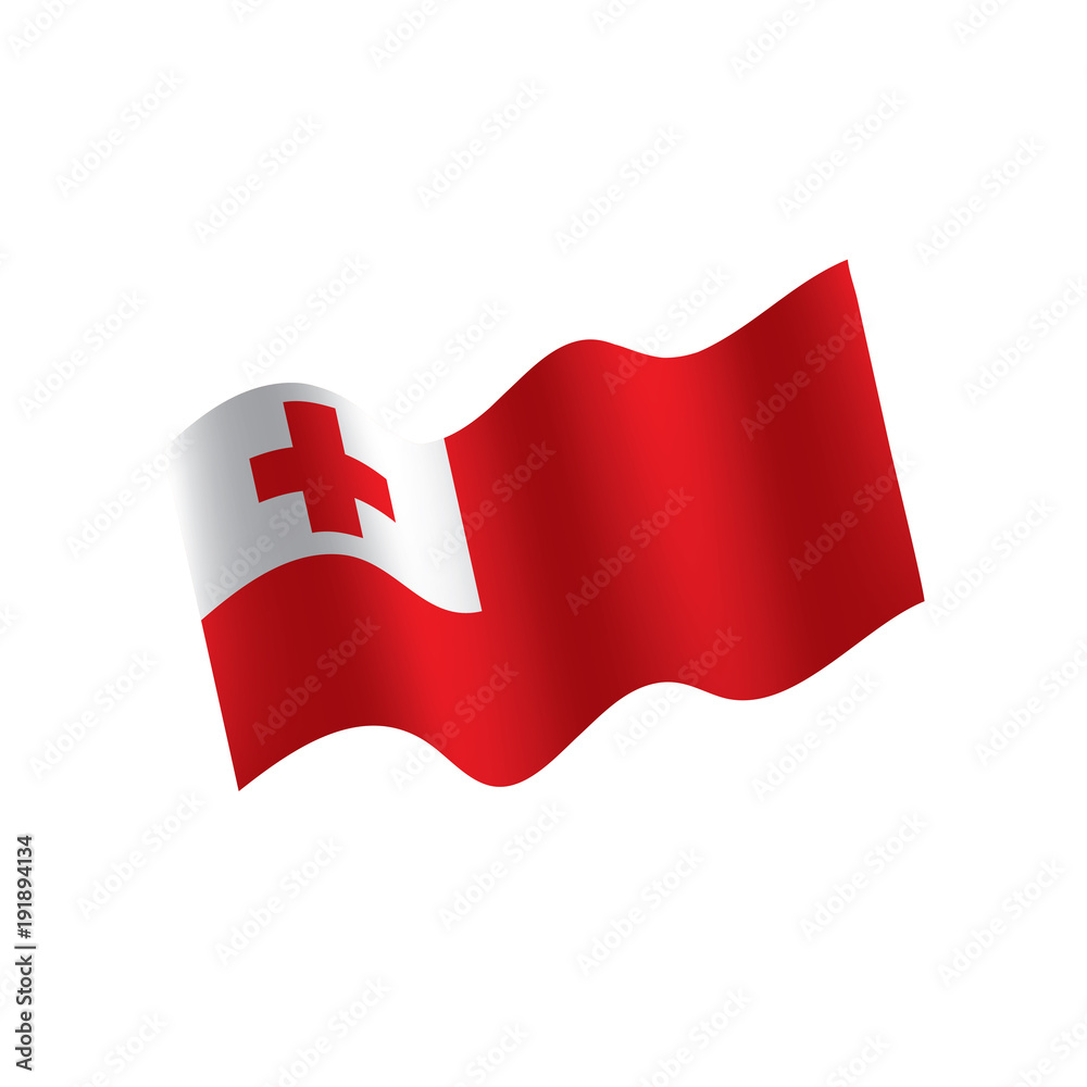 Tonga flag, vector illustration