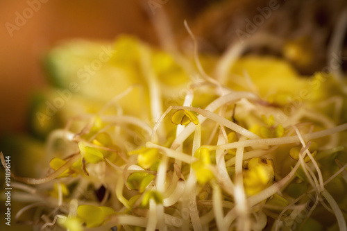 Kanapka z avocado 