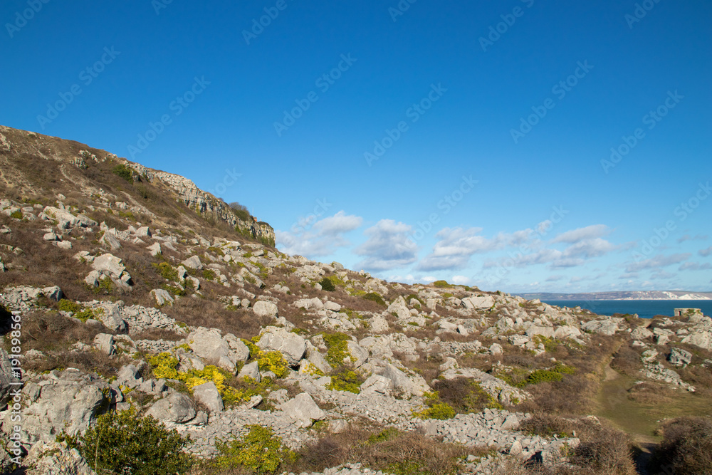 Rocky Heath-land 