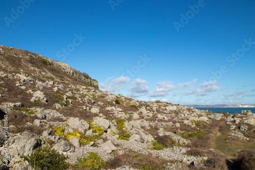 Rocky Heath-land 