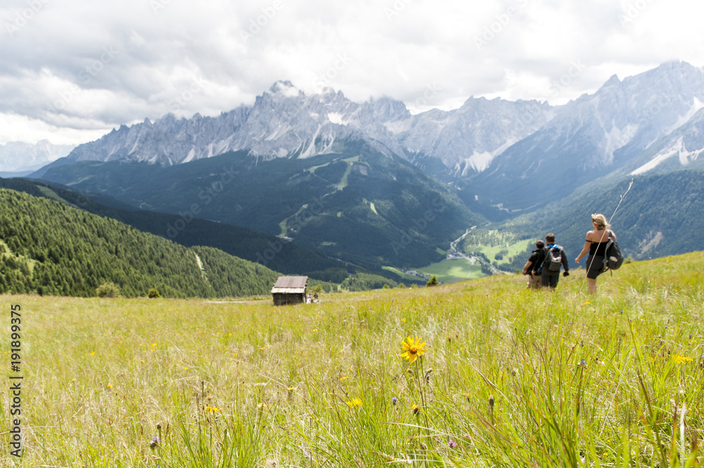 tourists descend to the valley from the mountains of the Alps among green meadows with flowers