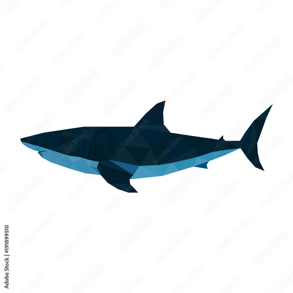 Fototapeta premium Shark. Vector. Low poly style.