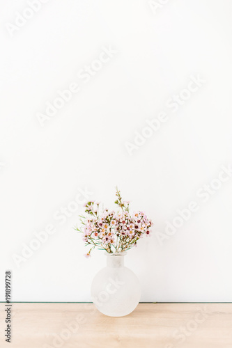 Wild flowers in front of white wall. Minimal composition.