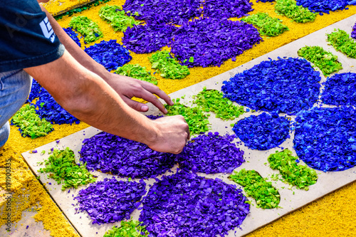 Making dyed sawdust Lent carpet, Antigua, Guatemala