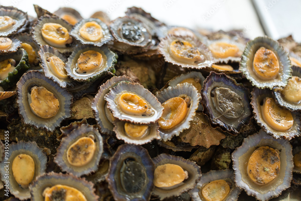 Limpets at Funchal fish market Madeira Portugal. Limpets at Funchal fish market Madeira Portugal.