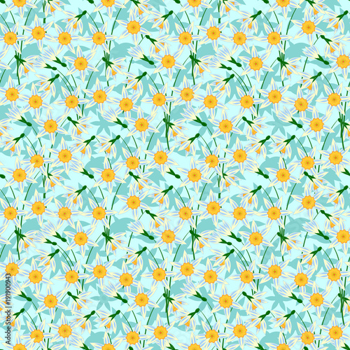 Fototapeta Naklejka Na Ścianę i Meble -  seamless pattern with spring flowers, blooming daffodils on blue background, vector illustration