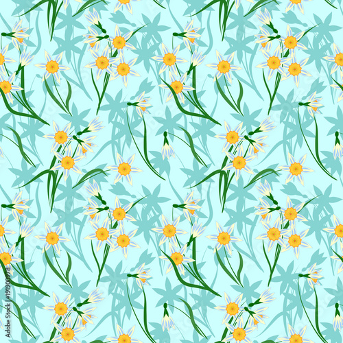Fototapeta Naklejka Na Ścianę i Meble -  seamless pattern with spring flowers, blooming daffodils on blue background, vector illustration
