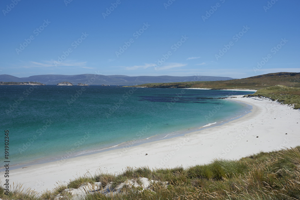 White sands and blue waters of Leopard Beach on Carcass Island in the Falkland Islands