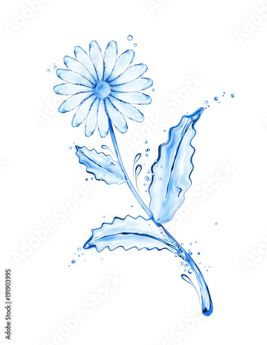 Chamomile flower made of water splashes on white background
