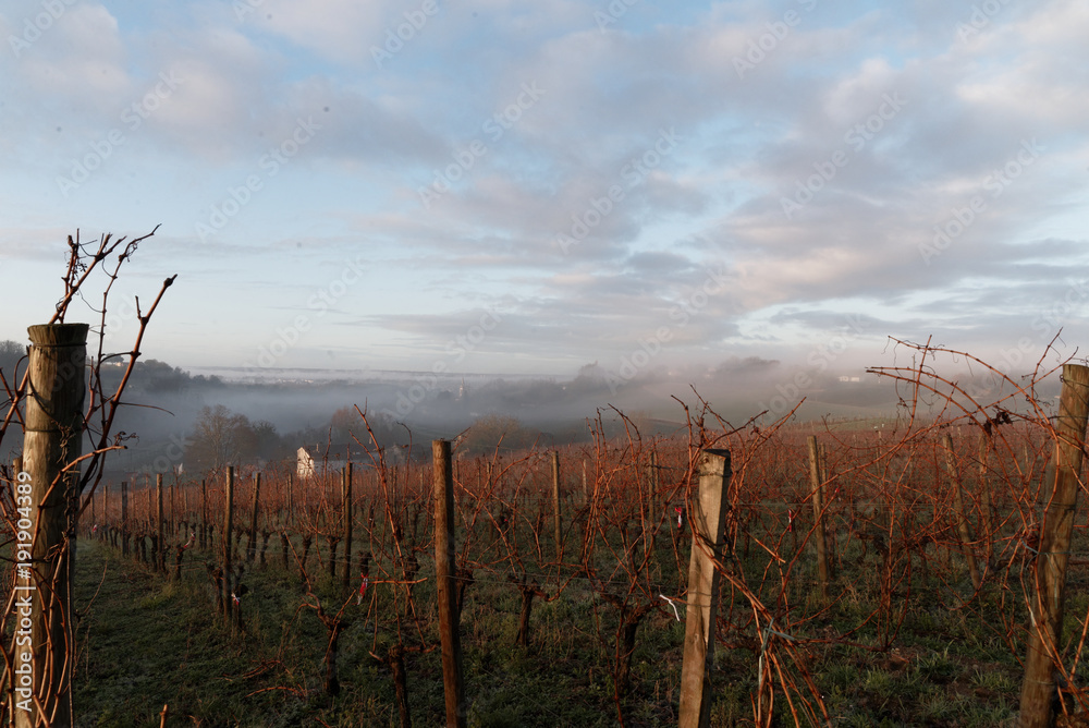 matin d'hiver matin d'hiver