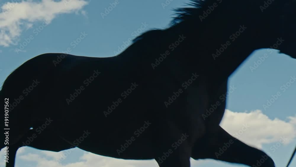 Black horse puffs through an obstacle
