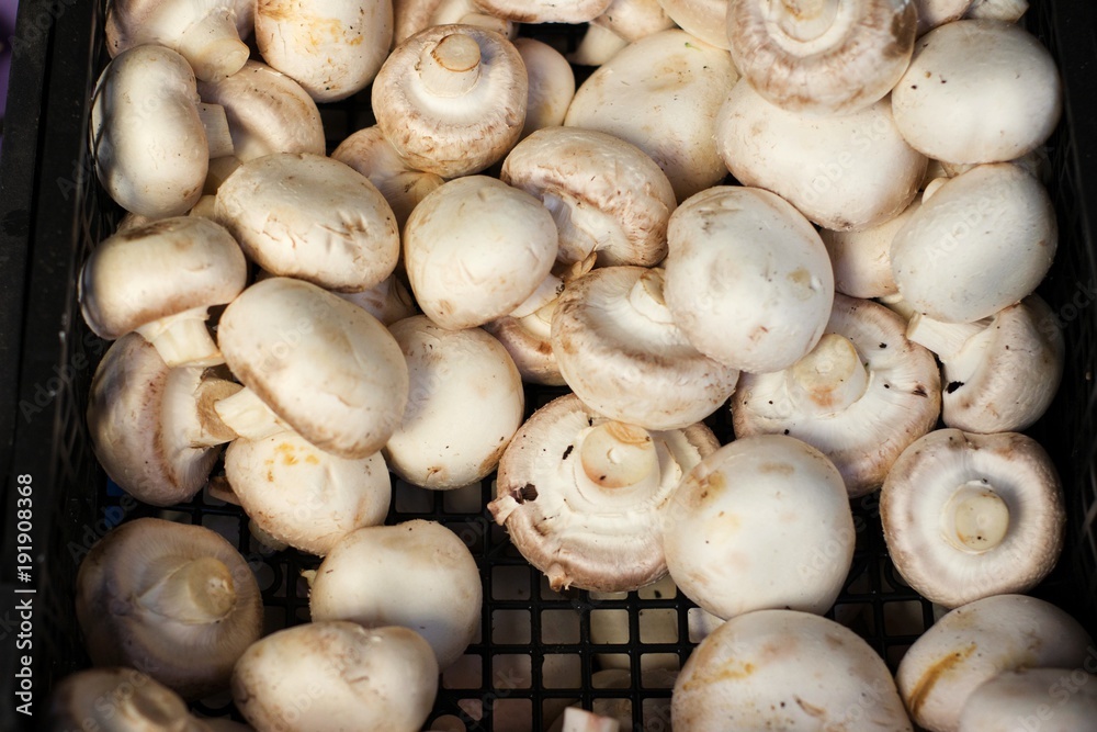 Organic mushrooms at a bio shop.Selective focus.