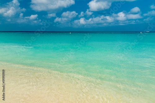panorama of the Eagle Beach white beach of the Caribbean sea Island of Aruba