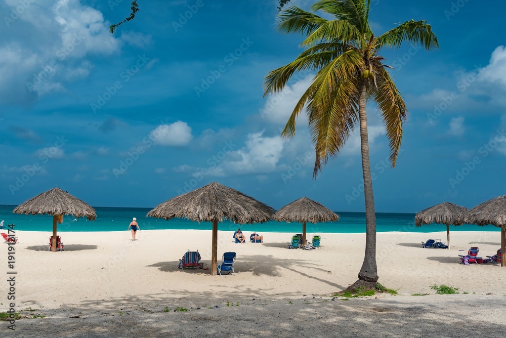 Aruba island tropical beach in the Caribbean sea in the Netherlands Antilles