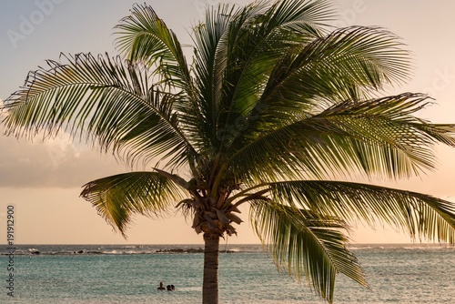 extraordinary sunset on the caribbean with palm trees and white beaches