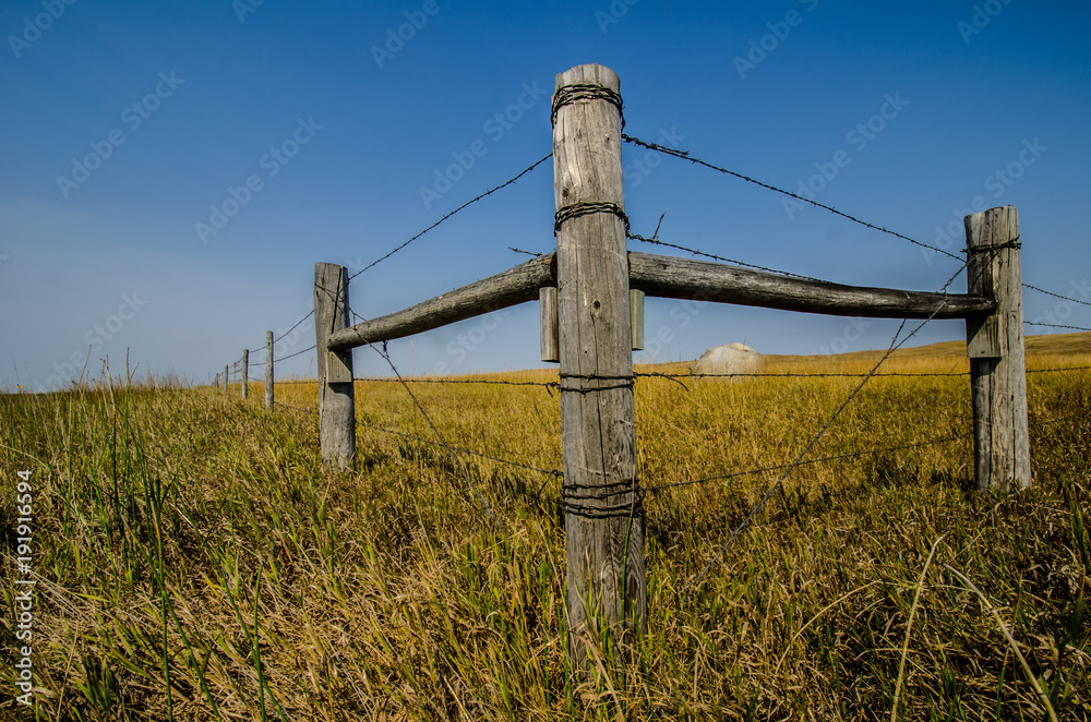OLD WOODEN FENCE AND BARBED WIRE IN TALL GRASS WITH BLUE SKY
