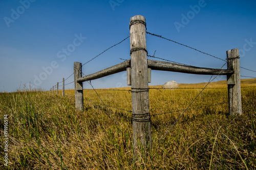 OLD WOODEN FENCE AND BARBED WIRE IN TALL GRASS WITH BLUE SKY