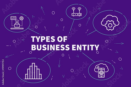 Conceptual business illustration with the words types of business entity