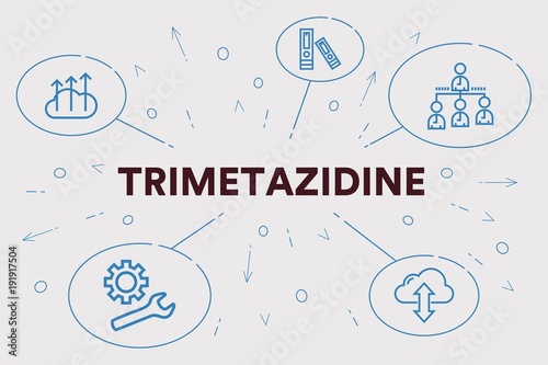 Conceptual business illustration with the words trimetazidine