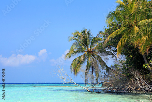 Malediveninsel mit Kokospalmen und türkis-farbenen Meer