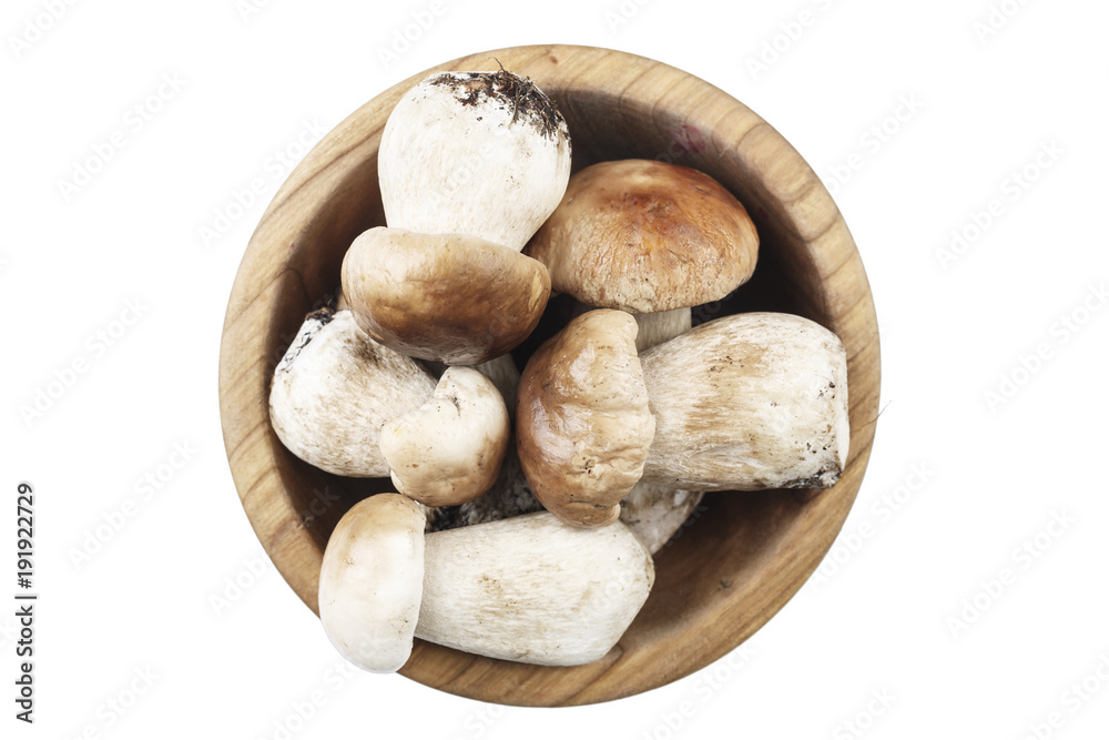 Mushroom Boletus in a wooden bowl, Autumn Mushrooms. Mushroom Boletus in a wooden bowl, Autumn Mushrooms.