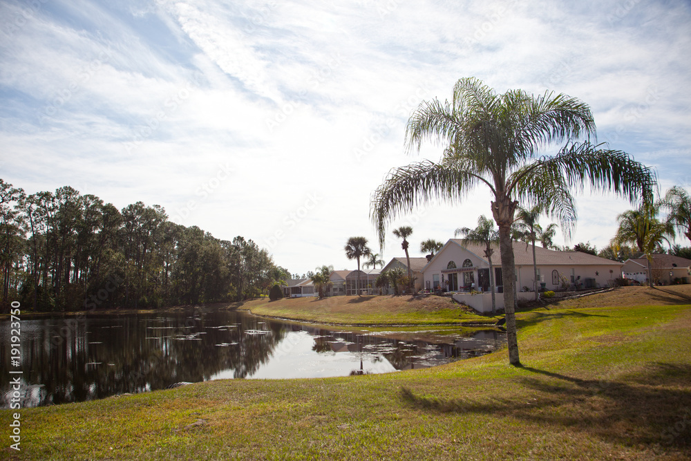 Obraz premium row of houses by a pond
