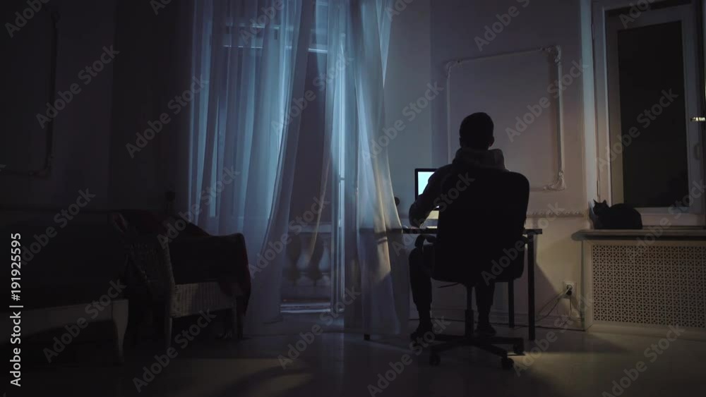 Young man working on script on computer at night room, black cat on window sill, curtain shakes on wind Young man working on script on computer at night room, black cat on window sill, curtain shakes on wind