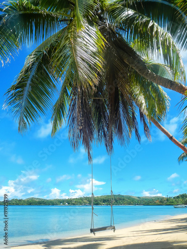 Rope swing at the beach on Nananu-i-Ra island  Fiji