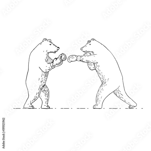 Two Grizzly Bear Boxers Boxing Drawing